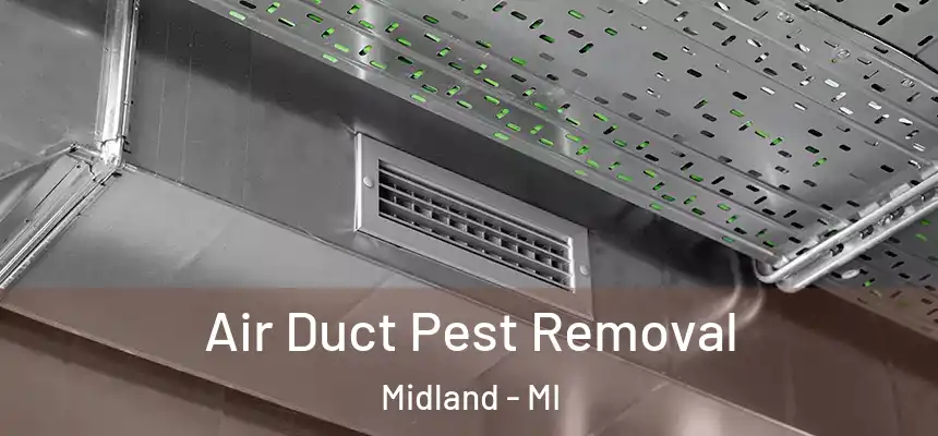  Air Duct Pest Removal Midland - MI