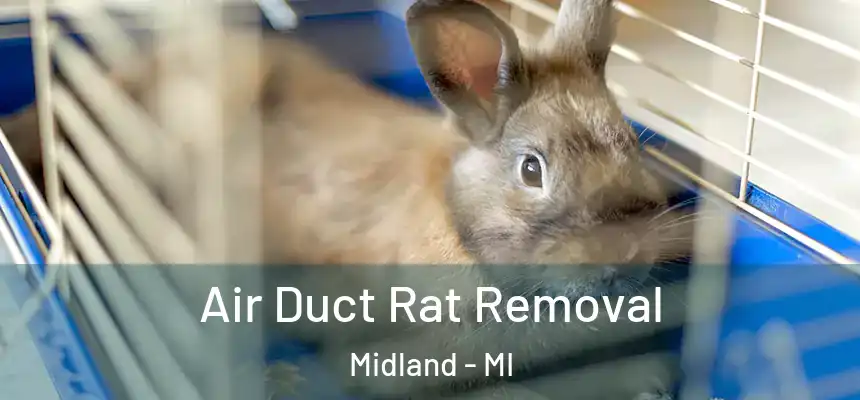 Air Duct Rat Removal Midland - MI