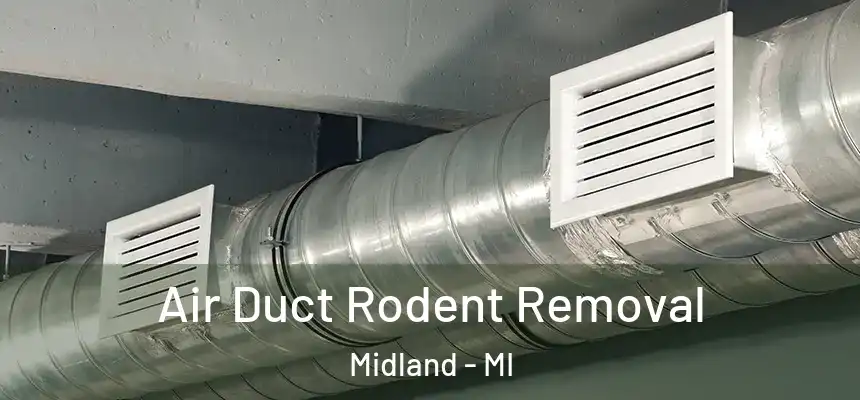  Air Duct Rodent Removal Midland - MI
