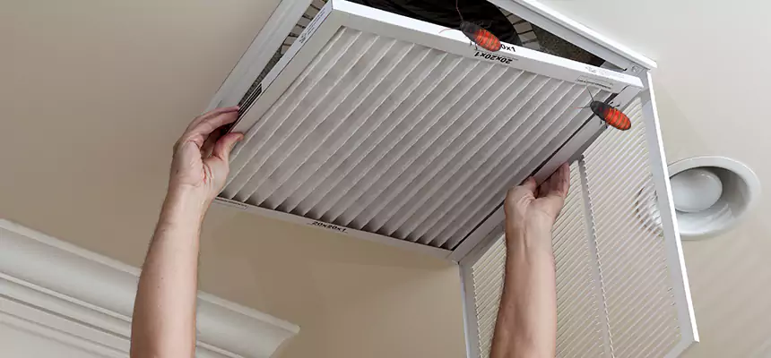 Preventive Cockroach-Proofing for Ducts in Midland