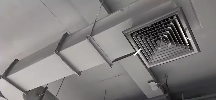 Restorative Allergy Relief Vent Cleaning – Coil, Blower & Housing Detail in Midland