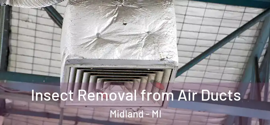 Insect Removal from Air Ducts Midland - MI