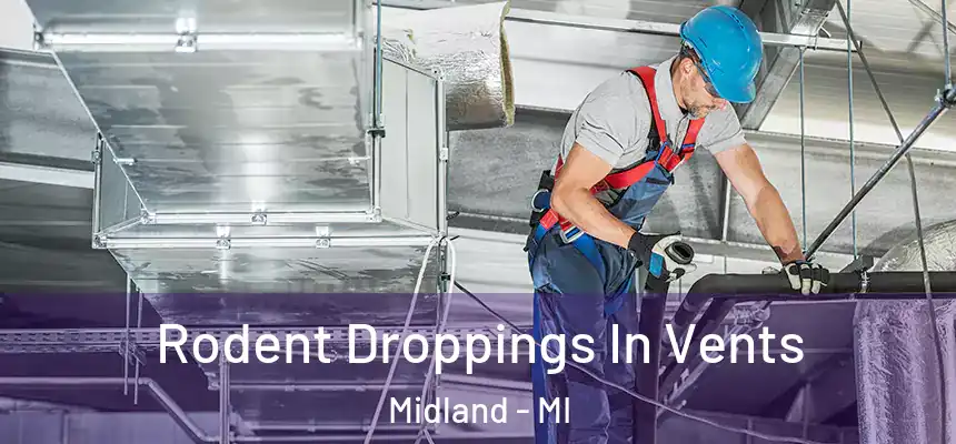 Rodent Droppings In Vents Midland - MI