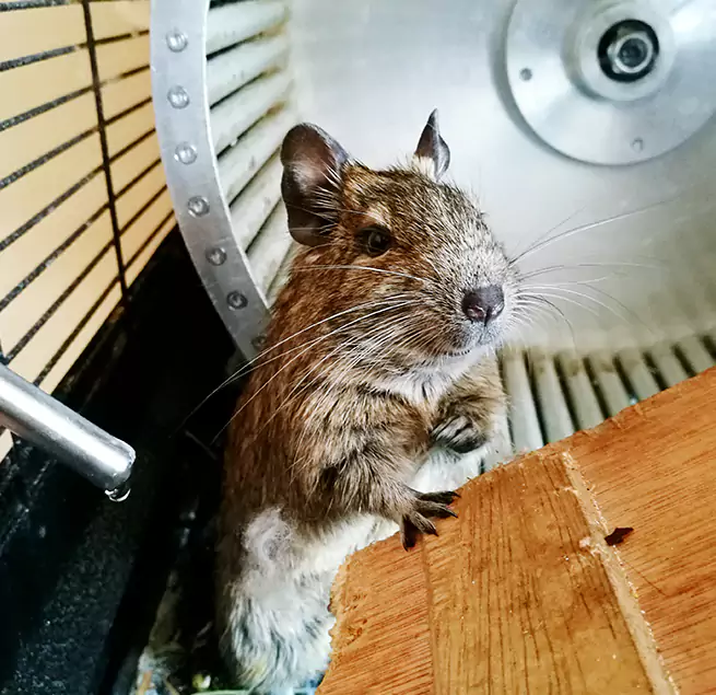 Why Homeowners & Businesses Trust Us Midland, MI